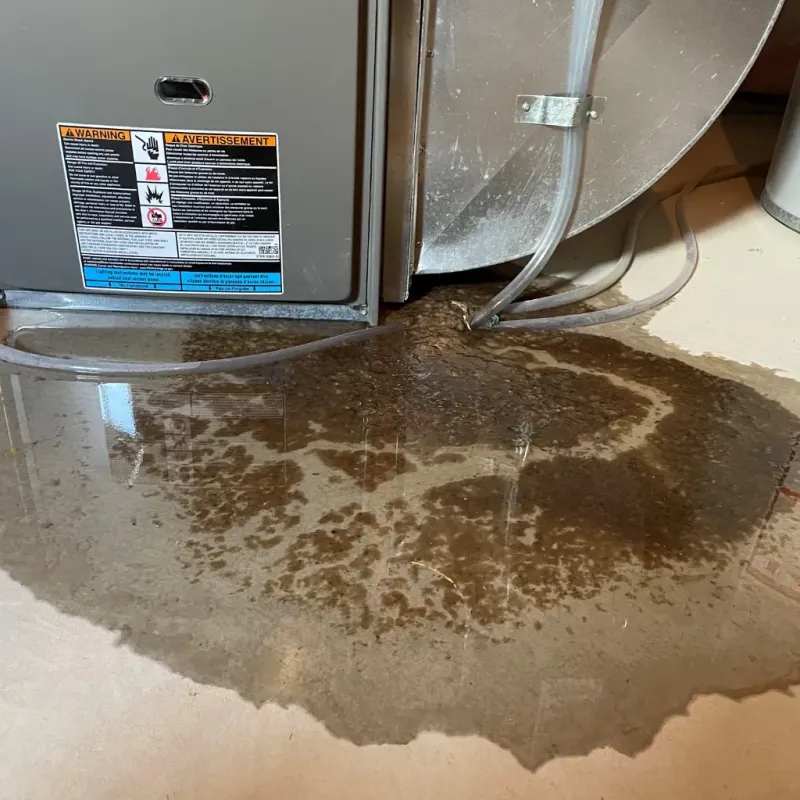 Appliance Leak Cleanup in Howard County, AR