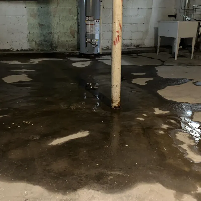 Emergency Water Extraction And Removal in Howard County, AR